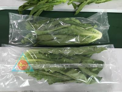 China Hot Sale Pillow Bag Lettuce Cabbage Carrot Automatic Vegetable Packing Machine for food pouch bag high quality for sale