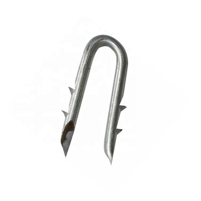 China Q195 Flat Galvanized U Type Nail Fence Staples With Diamond Sharp With Low Factory Price for sale