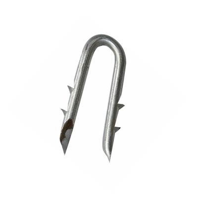 China Factory Price Flat Galvanized U Type U Shape Nails U Fence Staple For Barbed Wire for sale