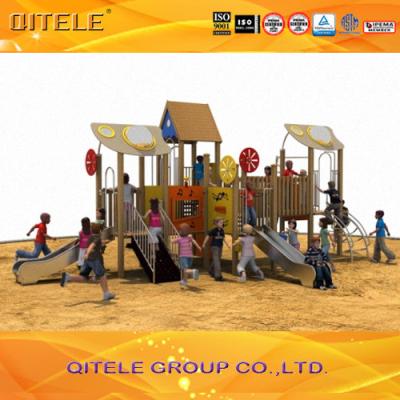 China Backyard Kids Playground , Kids Outside Play Equipment With Stainless Steel Slide for sale