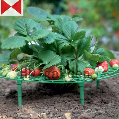 China Useful Outdoor Garden Removable Plastic Strawberry Planter Support Eco - Friendly for sale