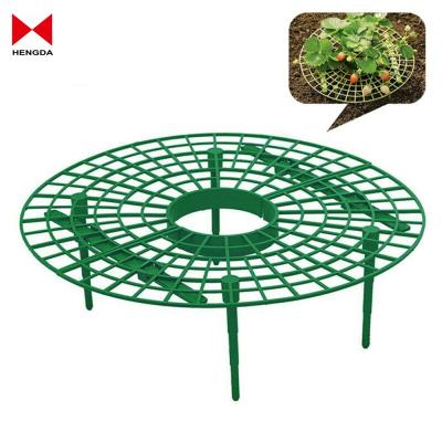 China Eco-friendly 5 Pack Strawberry Plant Supports With Legs To Retain Fruit To Avoid Ground Rot for sale