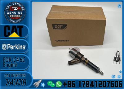 China Injector de combustível para motores diesel 282-0490 2645A709 para escavadeiras 321D motor diesel C6.6 C6.4 C4.2 injector à venda