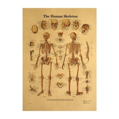 China Financial Institutions The Skeleton 42x29cm Retro Constitution Nervous System Poster Bar Home Decor Wrapping Paper Wall Painting Sticker for sale