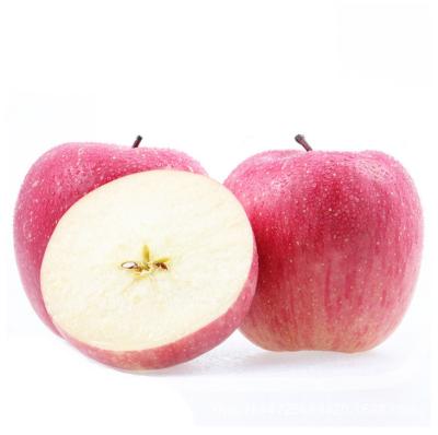 China Promotional high quality fresh red and big sweet Chinese fresh apples for sale