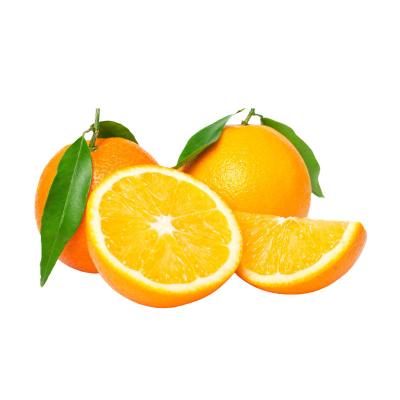 China Wholesale fresh high quality fresh orange/fruit for sale