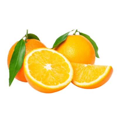 China Best Selling Oranges High Quality Fresh Honey Oranges Fresh Sweet Summer Oranges for sale