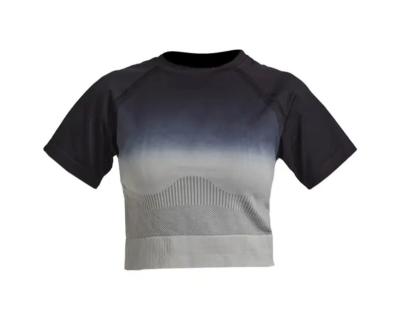 China Other Custom Waist-Length Gradient Sport Breathable Short-Sleeved Sport T-Shirt for sale