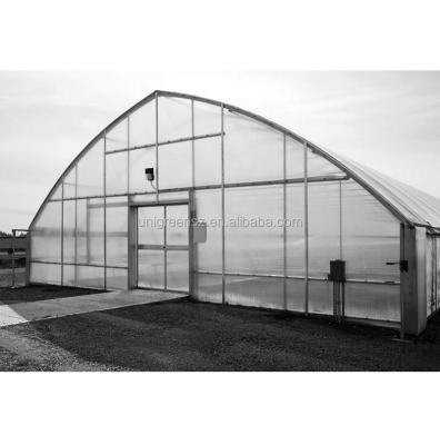 China Indoor PC Sheet Plant Growing Blackout 100% Polycarbonate Greenhouse for sale