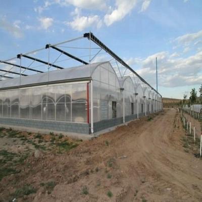 China PC Sheet Galvanized Steel Frame Commercial Polycarbonate Sheet Tarpaulin Garden Greenhouse for sale