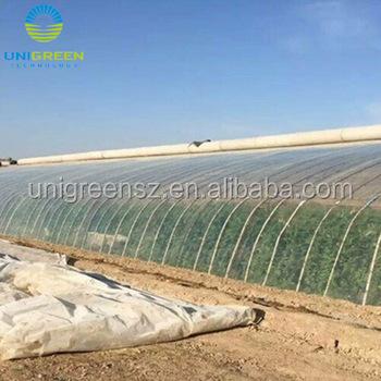 China PE Single Span Circle Frame Plastic Sheet Horticultural Greenhouse for sale