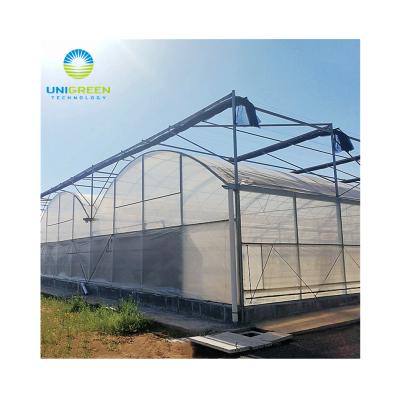 China Greenhouse Seedling Factory Direct Selling New Multi-span Flowers Growing Type Vegetables Plant Greenhouse Aluminum Tunnel Greenhouse Manufacturer for sale