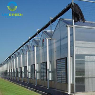 China Other Modern Design Venlo Glass Greenhouse for sale