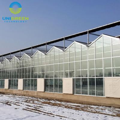 China Other Most Competitive Price And Easily Installed Venlo Glass Greenhouse for sale