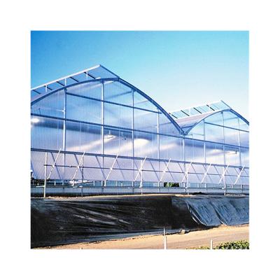 China Good Quality Growing Greenhouse Seedling Factory Price Durable 8mm Polycarbonate Grow Medicinal Plant Multi Span Tunnel Greenhouse With Blackout System for sale