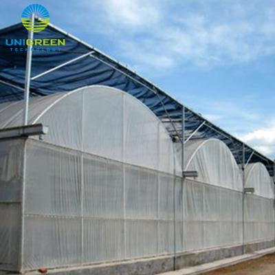 China Commercial Hydroponic Systems Multi Span PE Film Greenhouse for sale