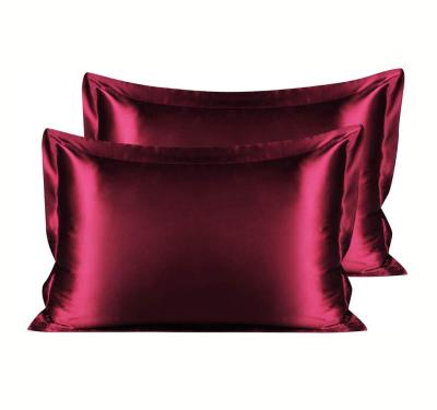 China 100% natural pure silk pink mulberry pillow case anti dust mites mulberry silk custom momme pillowcase 25 size for sale