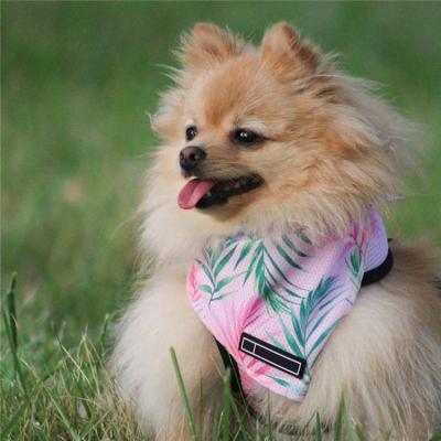 China Customized Viable Durable Adjustable Fit Fabric Cat Dog Bandana With Logo for sale