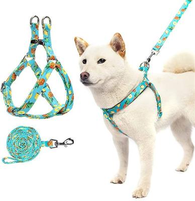 China Soft Polyester OEM DESIGN Dog Harness Webbing Padded Neoprene Vest Pet Step In Harness for sale