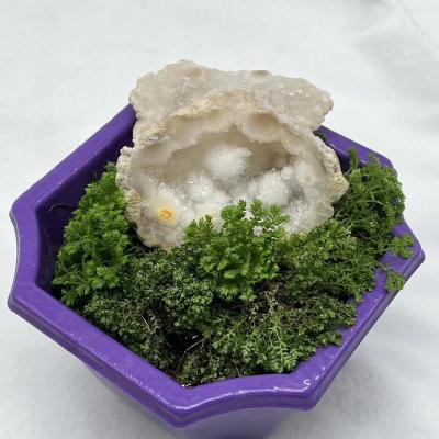 China China Natural White Crystal Cornucopia Mini Cave Decorative Ornaments Morocco for sale