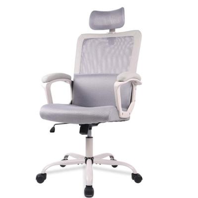 China Newcomer Comfortable Back Chair Adjustable (Height) High Rocking Adjustable Ergonomic Office Chair For Meeting Room for sale