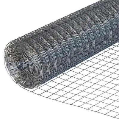 China Durable Galvanized PVC Coated Welded Wire Mesh For Garden Fence for sale