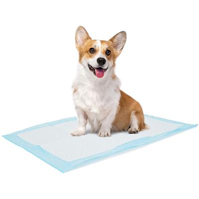 China Stored Dog Urine Pad Puppy Pee Pads Puppy Training Disposable Pet Training Mat Dog Pee Pad For Dogs for sale