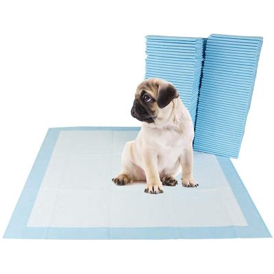 China Amazon Stocked Basics 60 x 60cm Small Puppy Training Wc Pee Pads Dog Toilet Mat Urine Pad Pet Training Mats for sale