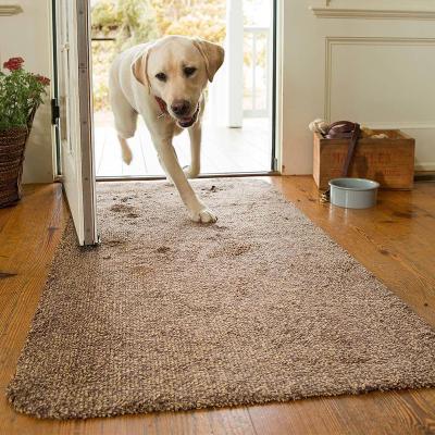 China Superb Washable Magic Clean Door Mat Outdoor Absorb Mud Mat Cotton Mat for sale