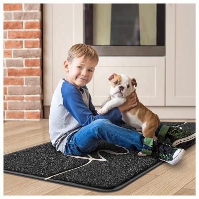 China Beautiful Front Outdoor Reel Floor Reception PVC Washable Waterproof Anti-skid Door Mat for sale