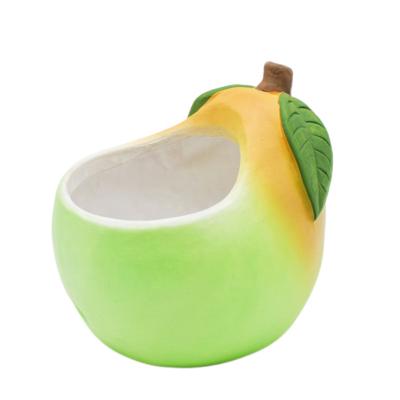 China Corrosion resistance garden supplies wholesale popular fruit home indoor modern creative garden decoration ceramic flowerpot for sale