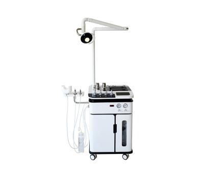 Chine Metal Medical Examination OPD Factory Manufacture Price Endoscope Camera Led Cold Light Treatment Ear Nose Unit à vendre