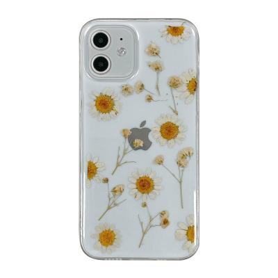 China Real Daisy Girl's Real Dry Flower Shockproof Clear Transparent Shockproof Girl Daisy Phone Case For Iphone 11 for sale