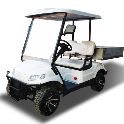 Chine 3.5KW Clubcar Utv Chariot de golf pour 2 personnes 30 mph écologique à vendre