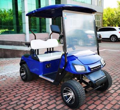 China Export EV 2 Seater Golf Cart 48V 3.5KW AC System Good Quality Golf Trolley for sale