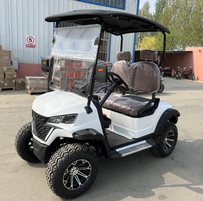 China 2 Seater Electric Golf Cart Optional Lithium Battery Mini Durable Electric Golf  Buggy for sale