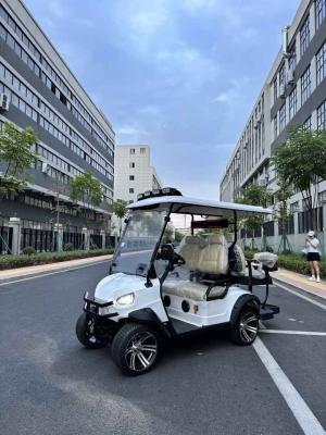 China 110V-220V Ladeingang 4-Sitzer Golf Buggy Elektrofahrzeug mit Sicherheitsgurt und Umsturzschutz zu verkaufen