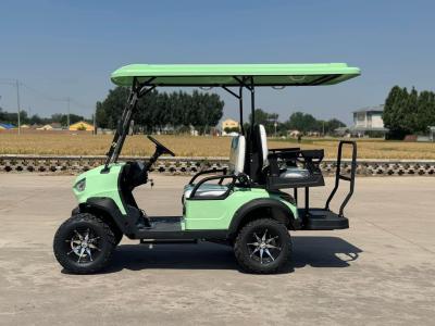 China Bx 2 2 Seat Sightseeing Bus Club Cart Custom Electric Golf Buggy Hunting Cart for sale