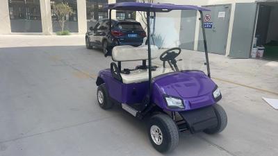 China Hot Sale Powa Kaddy Mini High Power 1000W 6 Seats Golf Cart 72V Cheap Lithium Battery for sale