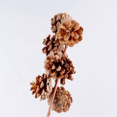 China China Factory Seller Pine Cones Pine Cone Cups Christmas Decoration with Twigs for sale