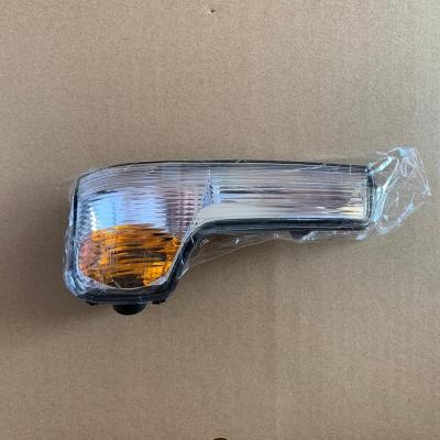 China Side Mirror Light N/A 35120104 5801823572 5801823334 For Iveco 2014 2016 2018 Daily for sale