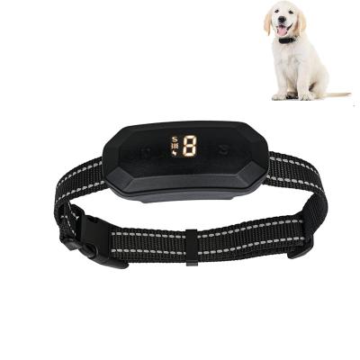 China Amazon Best Seller Anti Bark Collar Dog Bark Collar for Small and Mini Dogs for sale