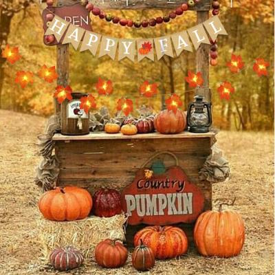 China Durable New Design Thanksgiving Day Theme Party Supplies Thanksgiving Decorations Party Autumn for sale