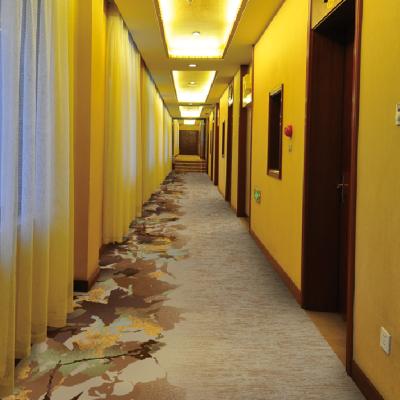 China Jacquard Hotel Equipmentwall For Walling Corridor Printing Theater Carpet for sale