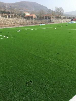 China Second Hand Heavy Duty Elastic Fashionable Wholesale China Lightness PP/UV PE Artificial Grass for sale