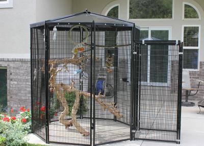 China Het openluchtvogelhuis kooit met opzet 5 ' X 8 ' de Sectionele Kooien van Vogelkooien Te koop