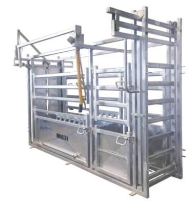 China Professional Hot DIP Galvanized Cattle Crush with Weighing Scale for sale