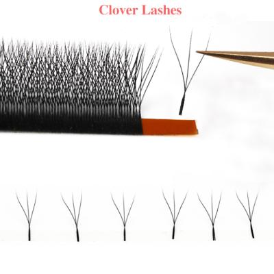 China PBT Volume Eyelash Extension False Eyelashes W Weave Korean Silk Clover Lashes Private Label Lashes Extensions for sale