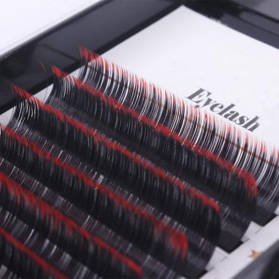 China Colorful Two Tone Mix Color Eyelash Extension Colored PBT Fiber Synthetic Silk Korean Rainbow Mixed Colors Eyelash for sale