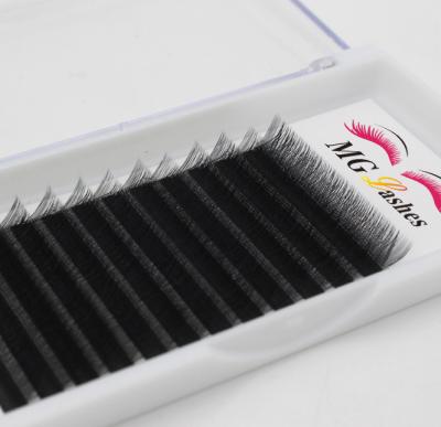 China Korean PBT YY Silk Lashes Eyelash Extension Mix Size Packing Y Shape Custom Lashes for sale